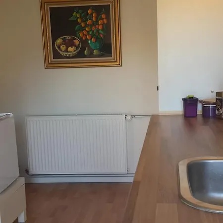 Habitación en casa particular In Centrum Gedser